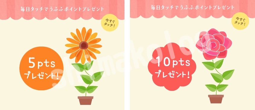 お花にお水をあげてうふふポイントをゲット