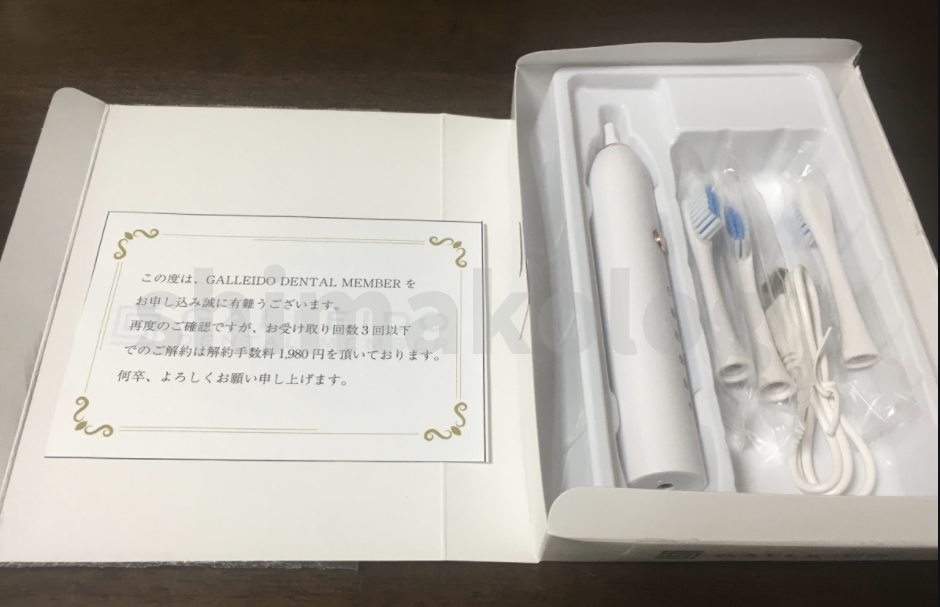 ガレイドデンタルメンバーの電動歯ブラシ本体と替え歯ブラシ